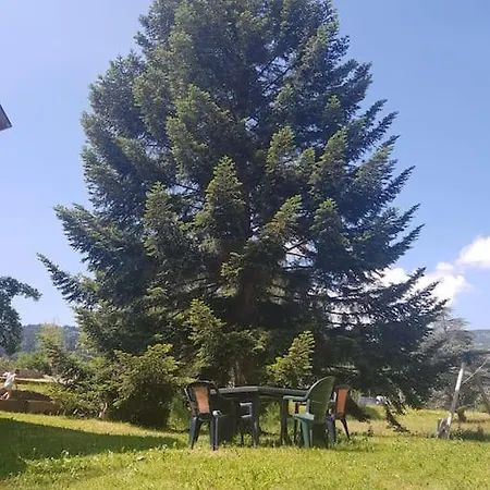 アパート Chaleureux 80m2 オルベ